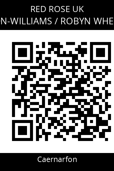 QR code for dyfan-wheldon-williams