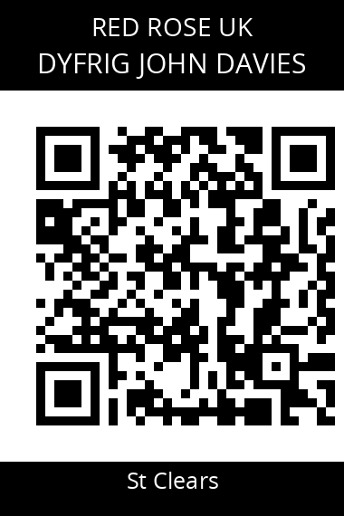 QR code for dyfrig-john-davies