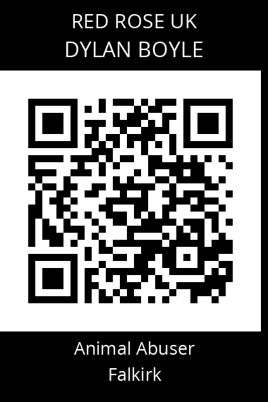 QR code for dylan-boyle