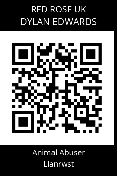 QR code for dylan-edwards