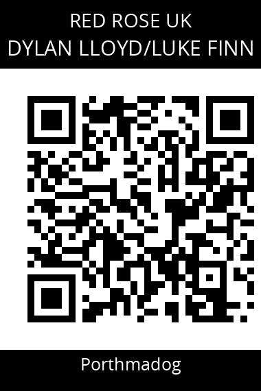 QR code for dylan-lloydluke-finn