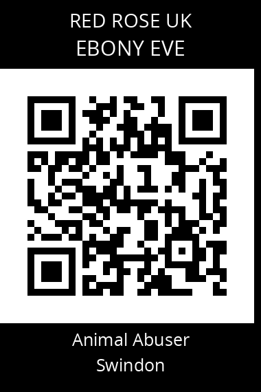 QR code for ebony-eve