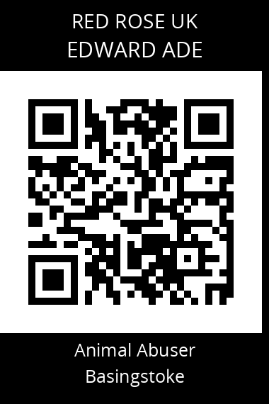 QR code for edward-ade