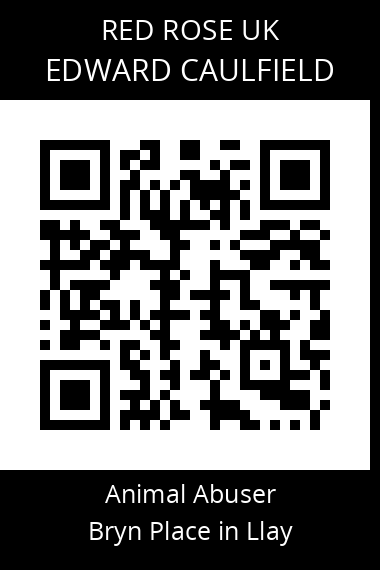 QR code for edward-caulfield