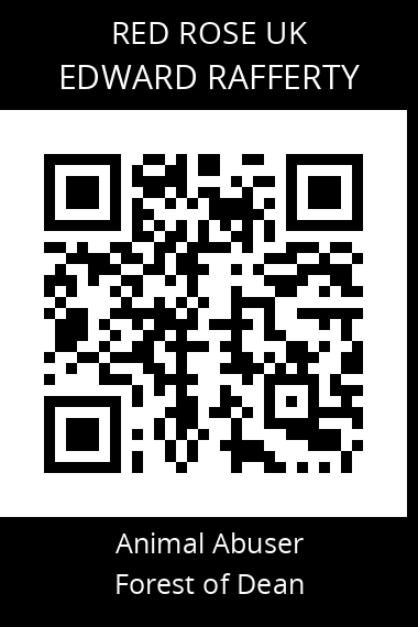 QR code for edward-rafferty