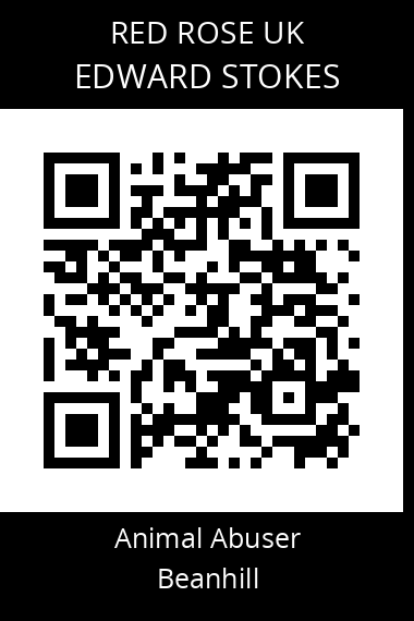 QR code for edward-stokes
