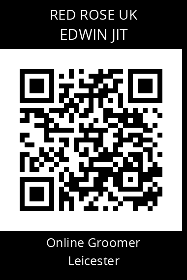 QR code for edwin-jit