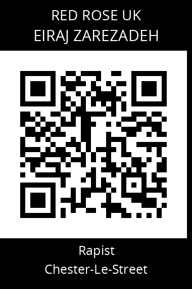 QR code for eiraj-zarezadeh