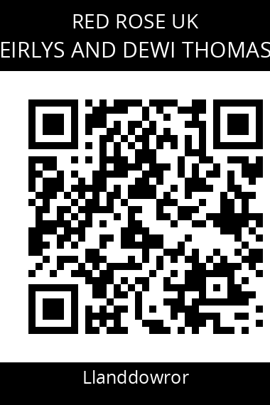QR code for eirlys-and-dewi-thomas