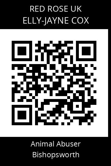 QR code for elly-jayne-cox