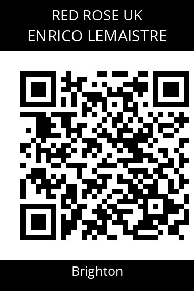 QR code for enrico-lemaistre-tish6o