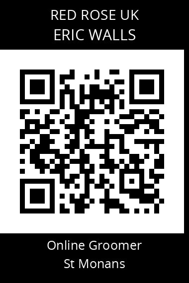 QR code for eric-walls