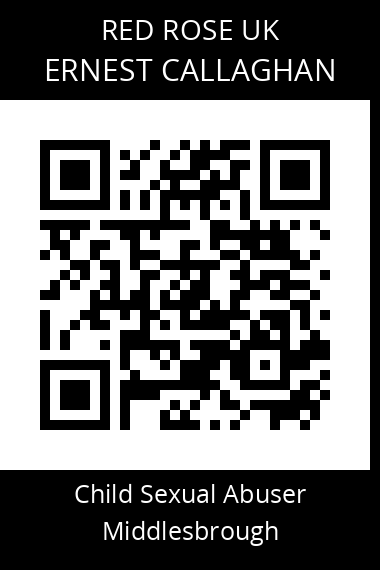 QR code for ernest-callaghan