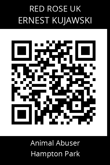 QR code for ernest-kujawski