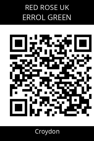 QR code for errol-green-dvsda8