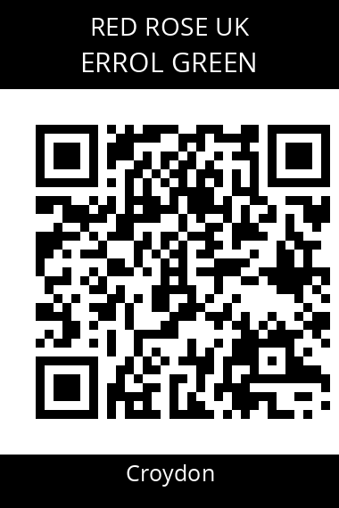 QR code for errol-green-fzfwjz