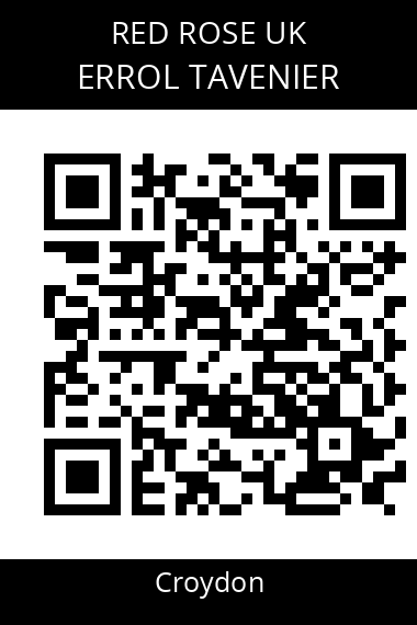 QR code for errol-tavenier-dx65jw
