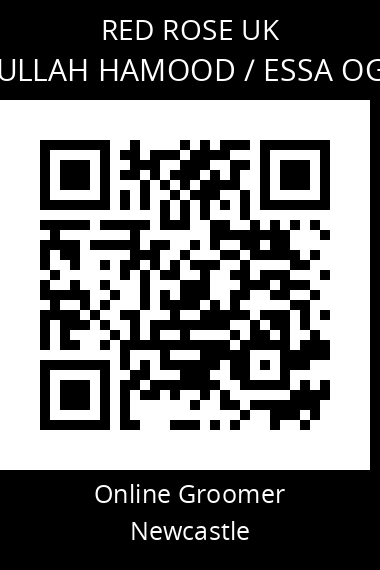 QR code for essa-oghul