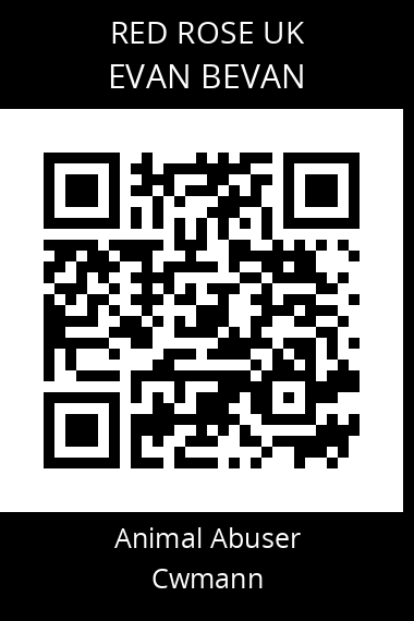 QR code for evan-bevan