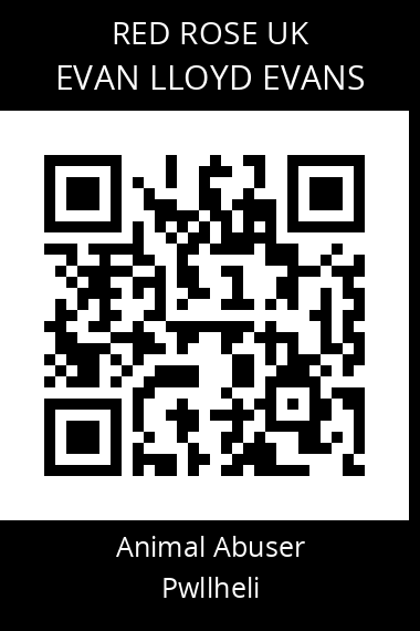 QR code for evan-lloyd-evans