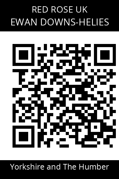 QR code for ewan-downs-helies-amqfi6