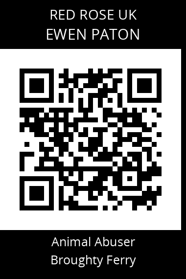 QR code for ewen-paton