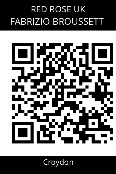 QR code for fabrizio-broussett