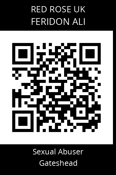 QR code for feridon-ali