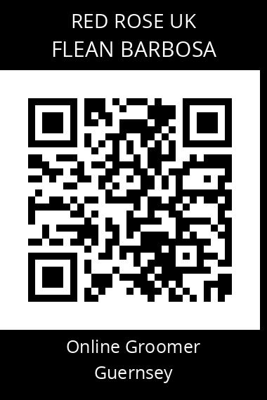 QR code for flean-barbosa