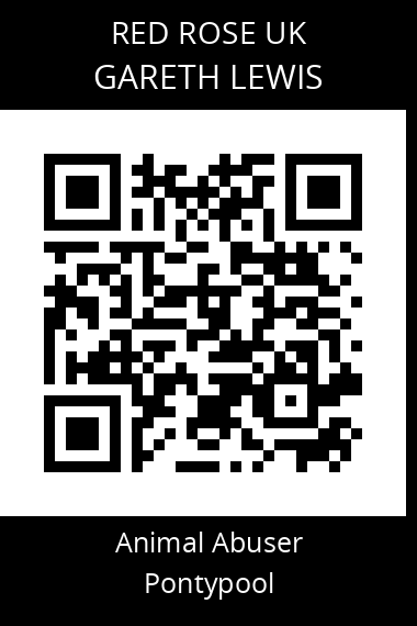QR code for gareth-lewis-1