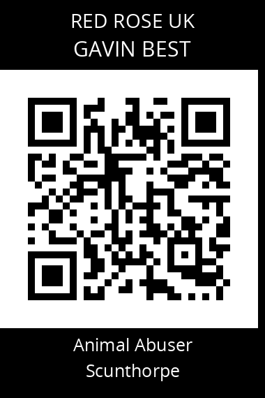 QR code for gavin-best