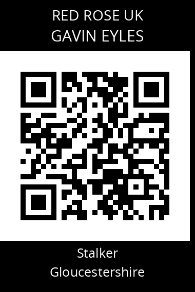 QR code for gavin-eyles