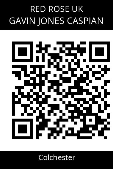 QR code for gavin-jones-caspian