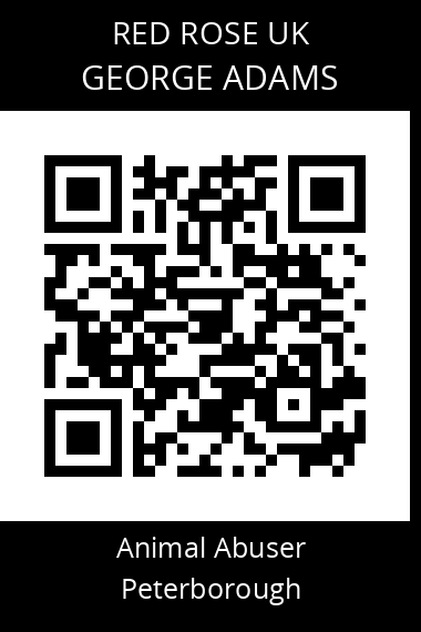 QR code for george-adams