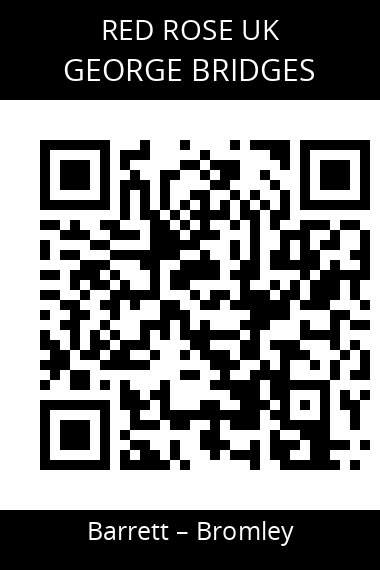 QR code for george-bridges-jvdph1