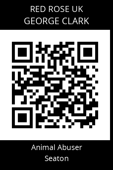 QR code for george-clark