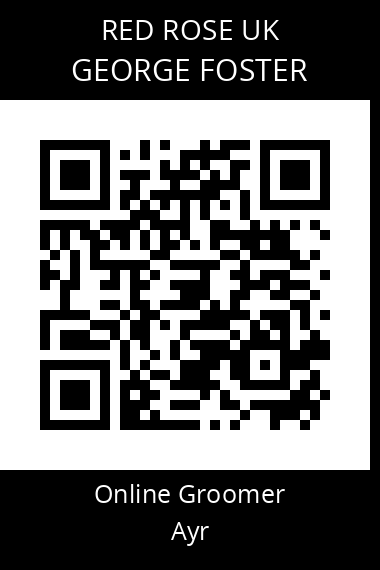 QR code for george-foster