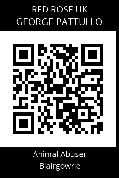 QR code for george-pattullo