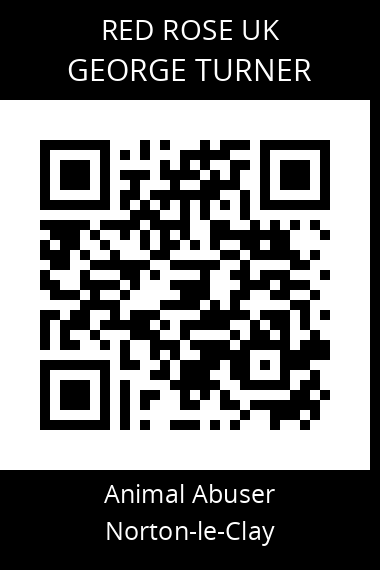 QR code for george-turner