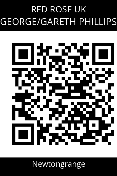QR code for georgegareth-phillips