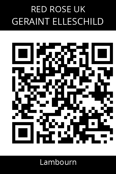 QR code for geraint-elleschild