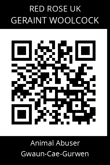 QR code for geraint-woolcock