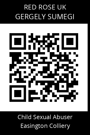 QR code for gergely-sumegi