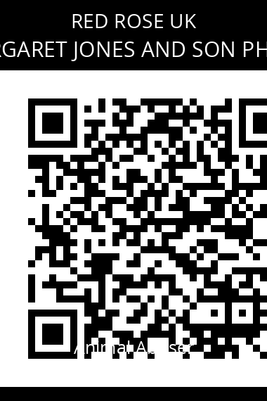 QR code for glyndwr-and-margaret-jones-and-son-philip-michael-jones