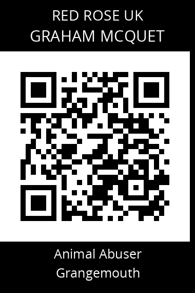 QR code for graham-mcquet