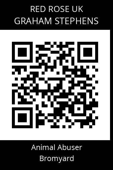 QR code for graham-stephens-1