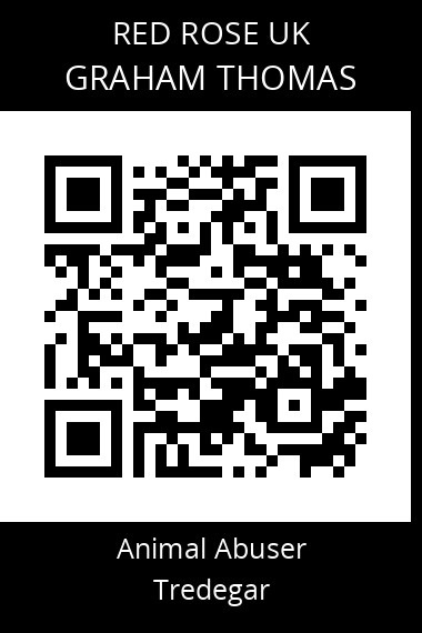 QR code for graham-thomas-3