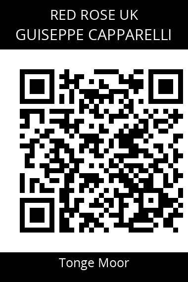QR code for guiseppe-capparelli