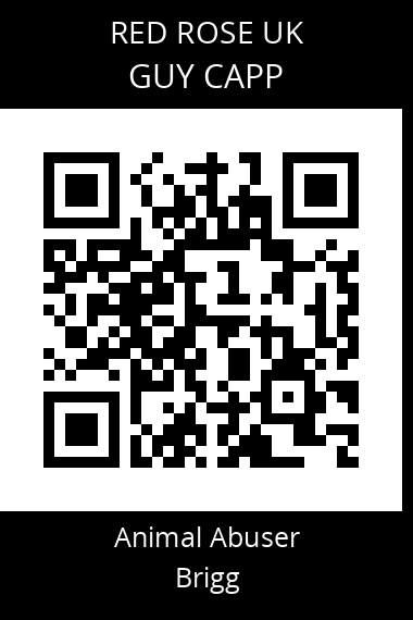 QR code for guy-capp