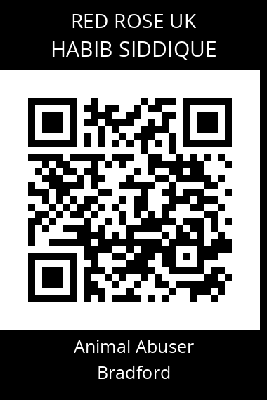 QR code for habib-siddique
